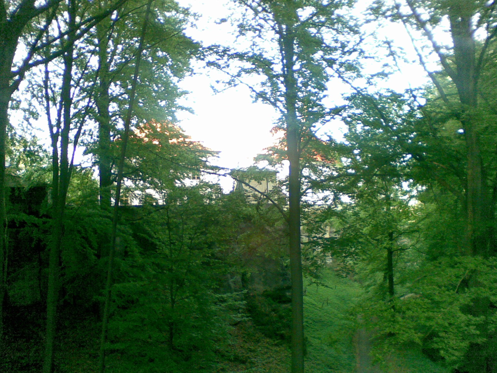ABCD0017.JPG
