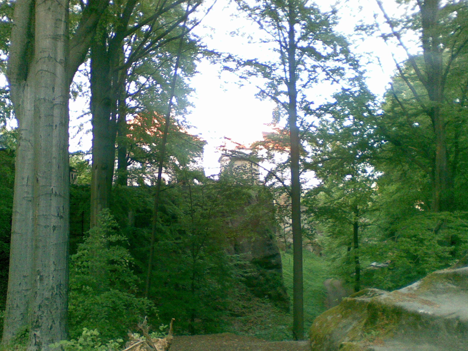 ABCD0016.JPG