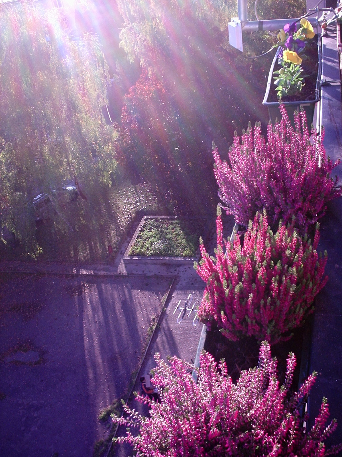 balkon7.JPG