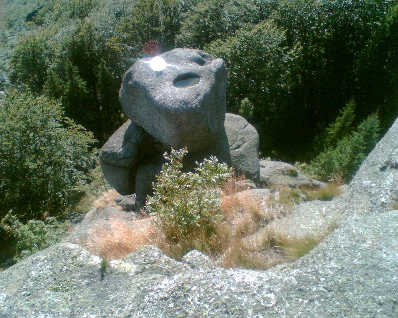 Obraz025.jpg