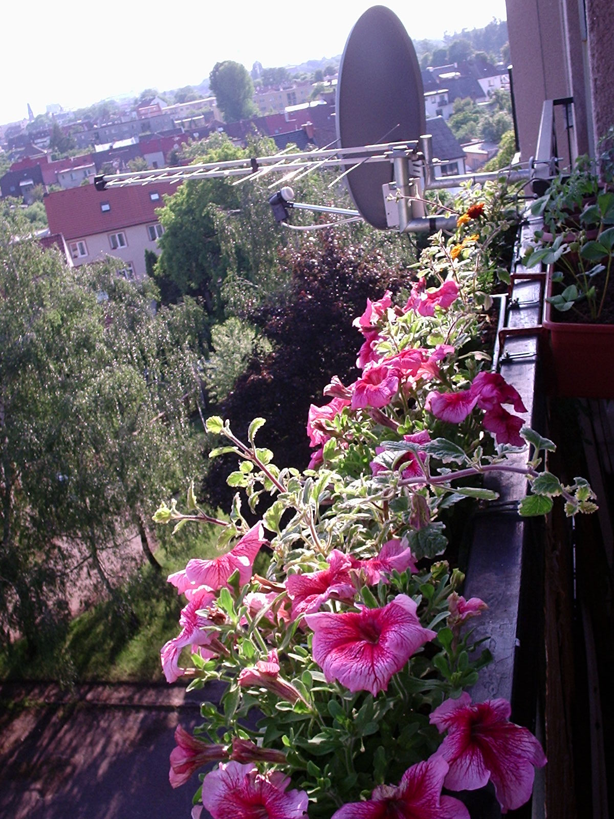 balkon3.jpg