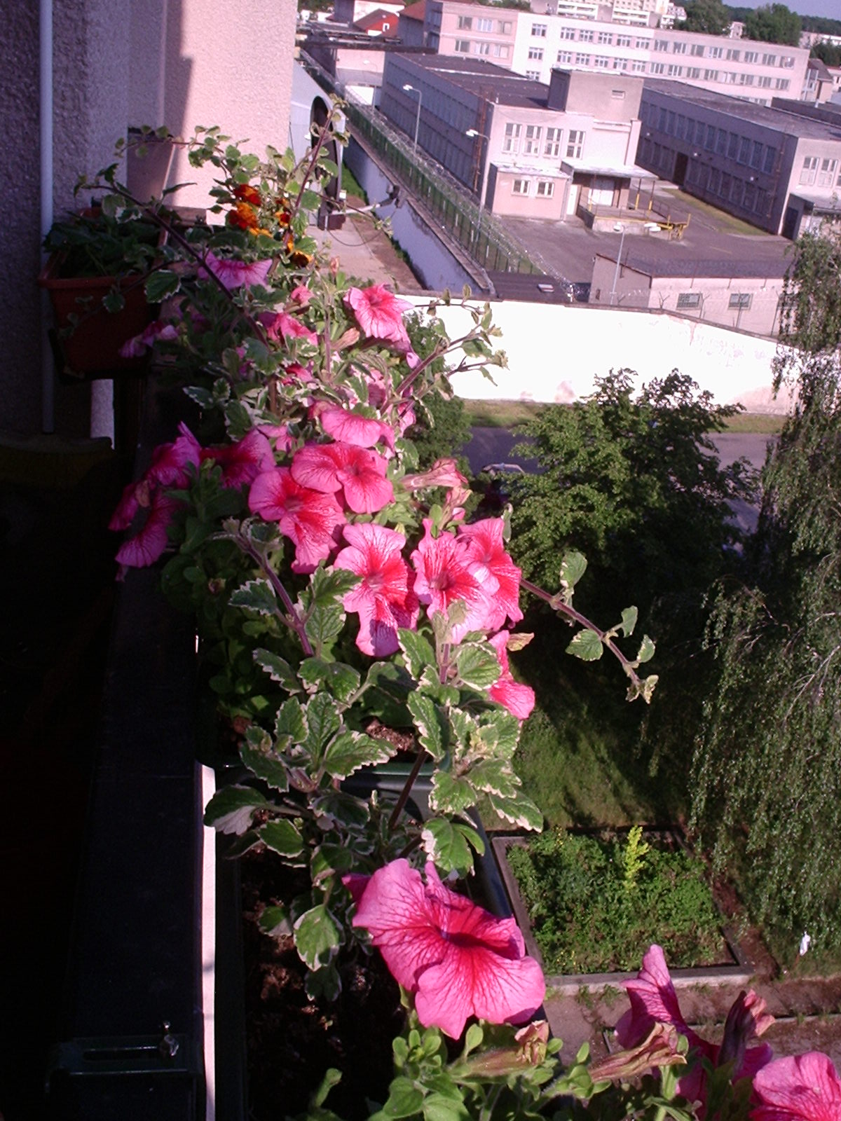 balkon4.jpg